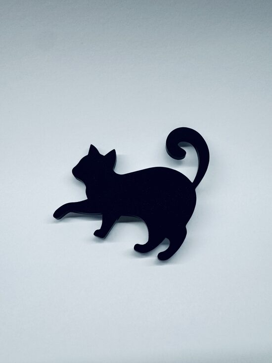 Pin CAT